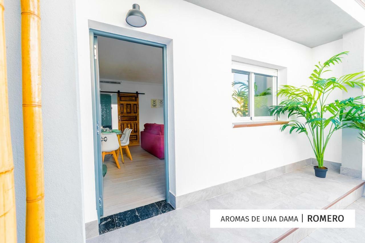 Oleholidays Aromas De Una Dama Apartamento *